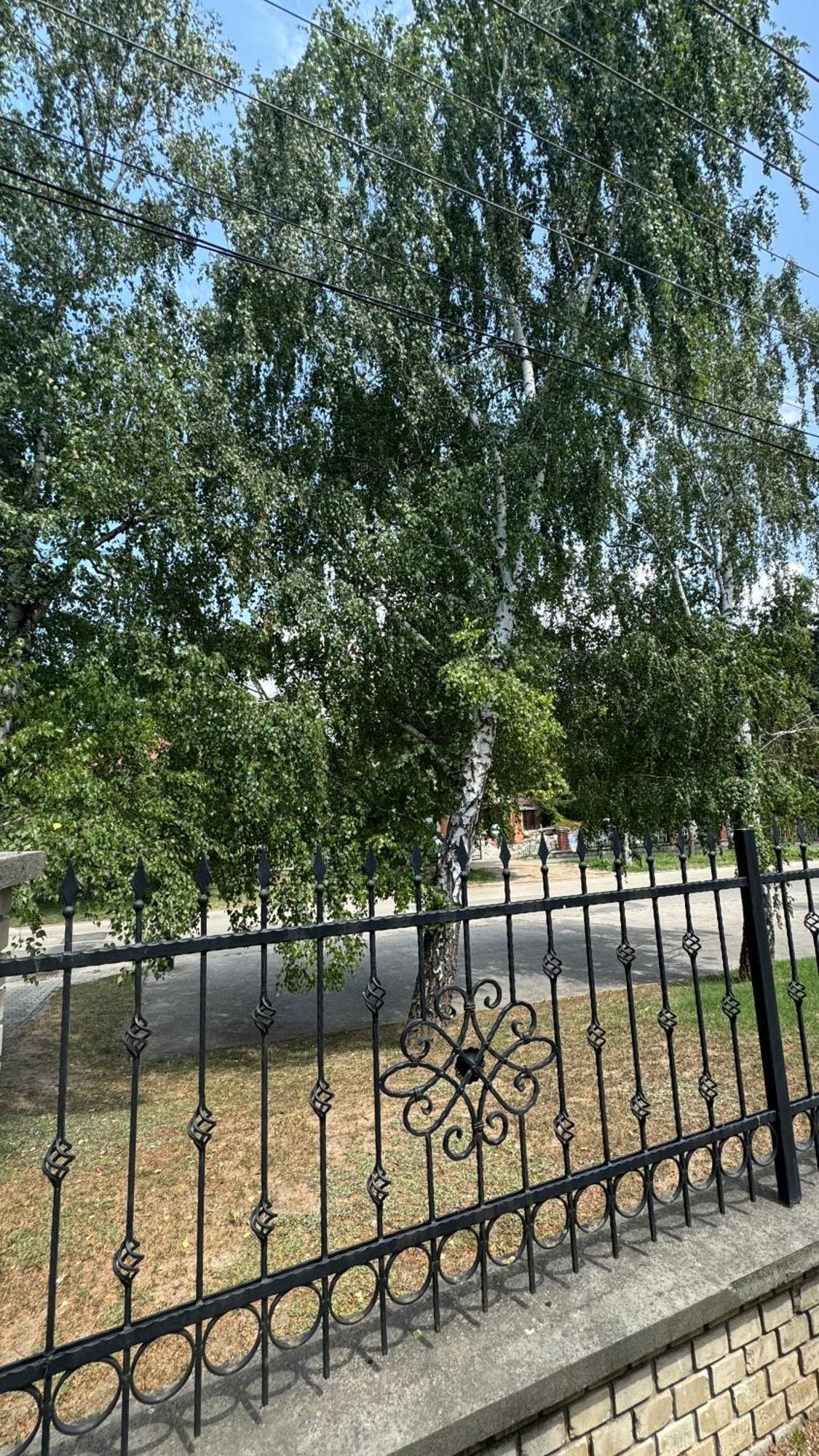5 Haloszobas Wellness Vip House - Privat Medence Siofok Luaran gambar